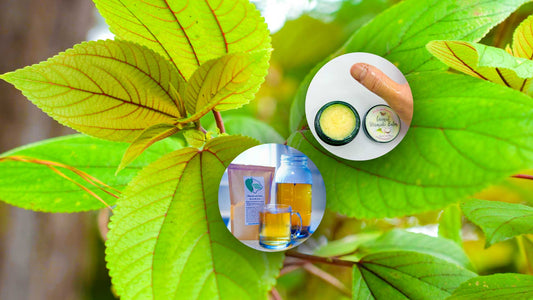 How I use MΔmaki, the Ancient Hawaiian Superplant