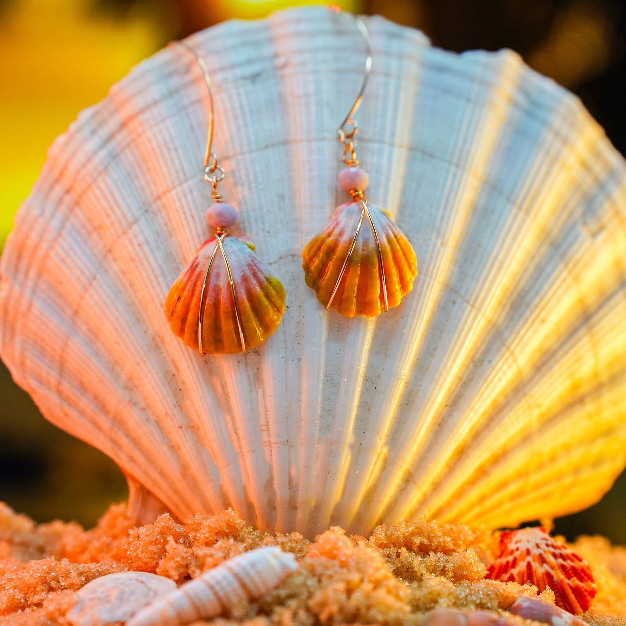 Hawaiian Sunrise Shell 14kt Gold Earrings