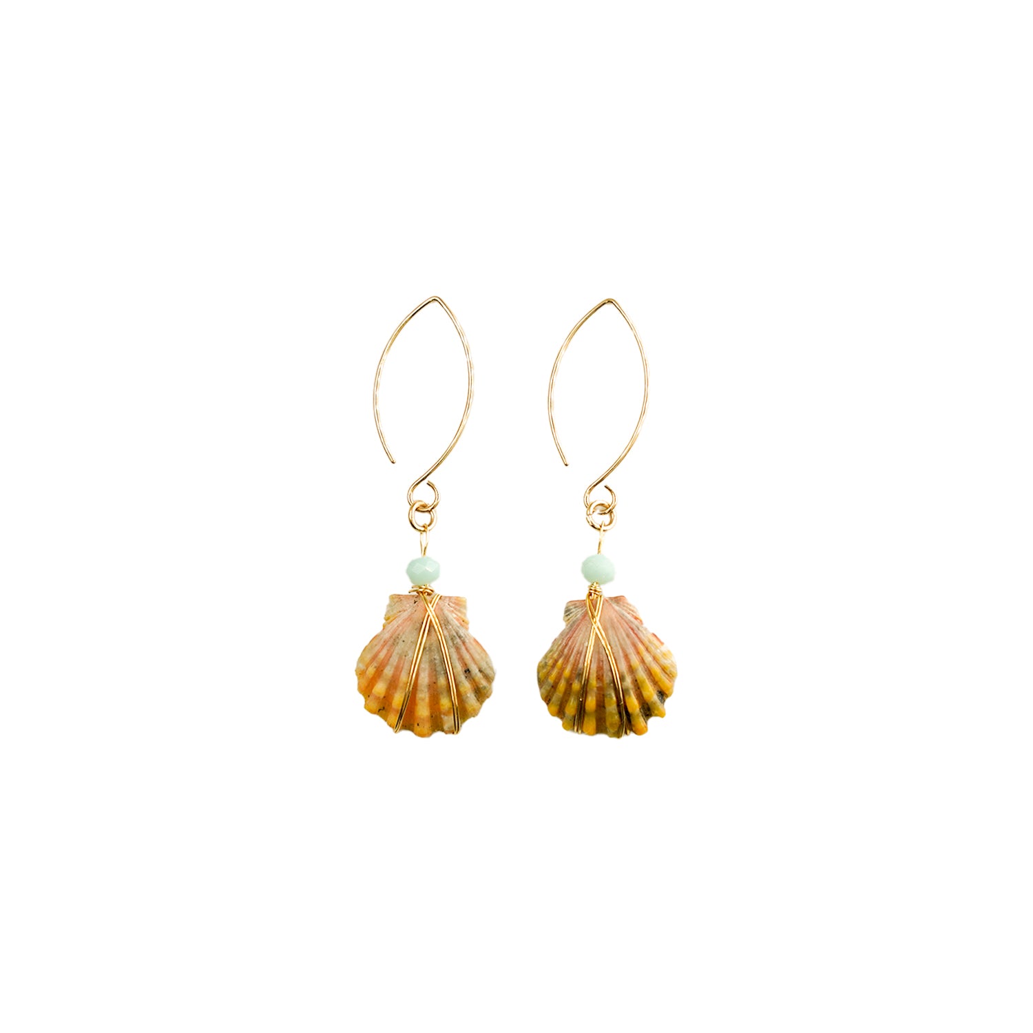 Hawaiian Sunrise Shell 14kt Gold Earrings
