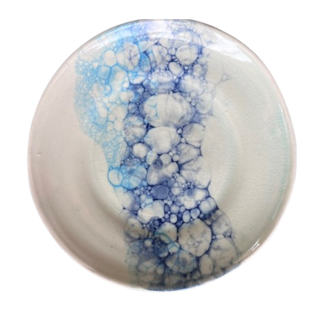 Nature Inspired Aqua Bubble Plate