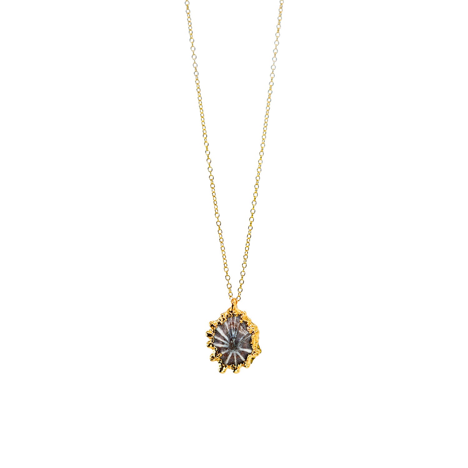 24k Gold-Dipped Gray ʻOpihi 18" Necklace