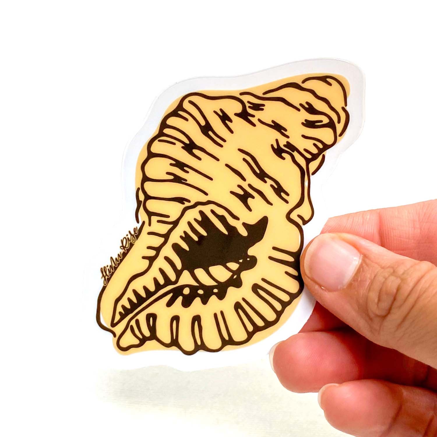 3” Vinyl Pepili Triton Shell Transparent Vinyl Sticker