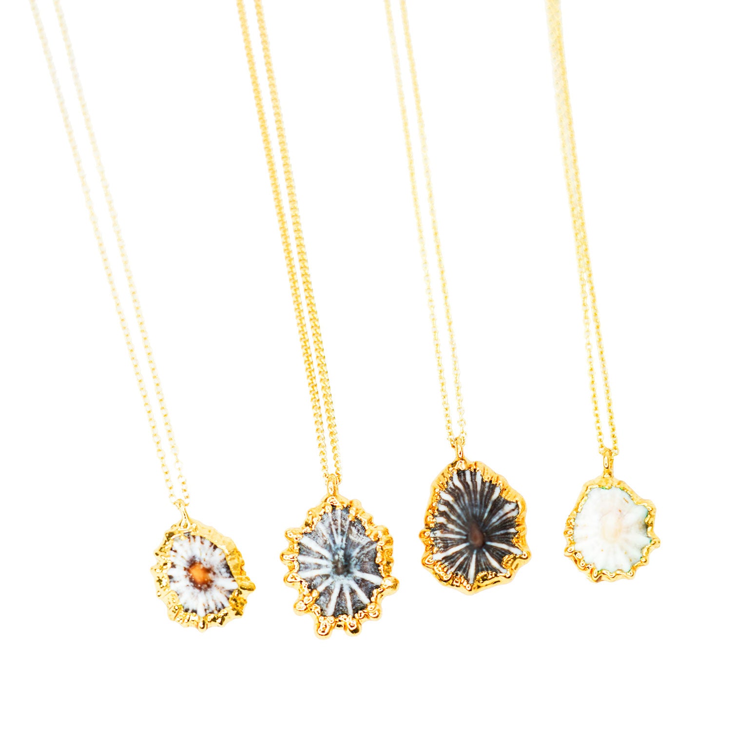 24k Gold-Dipped ʻOpihi 18" Necklace