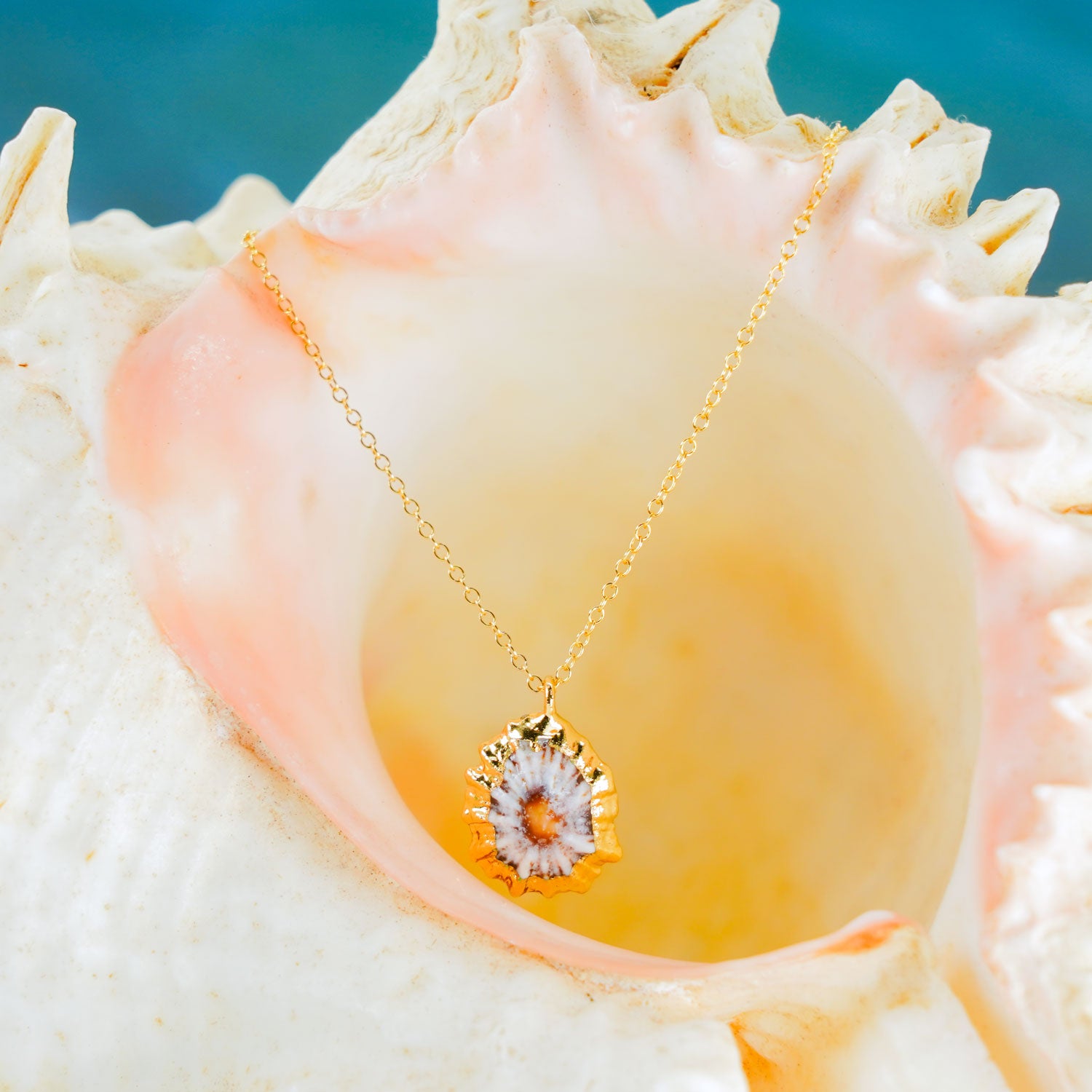 24k Gold-Dipped ʻOpihi 18" Necklace