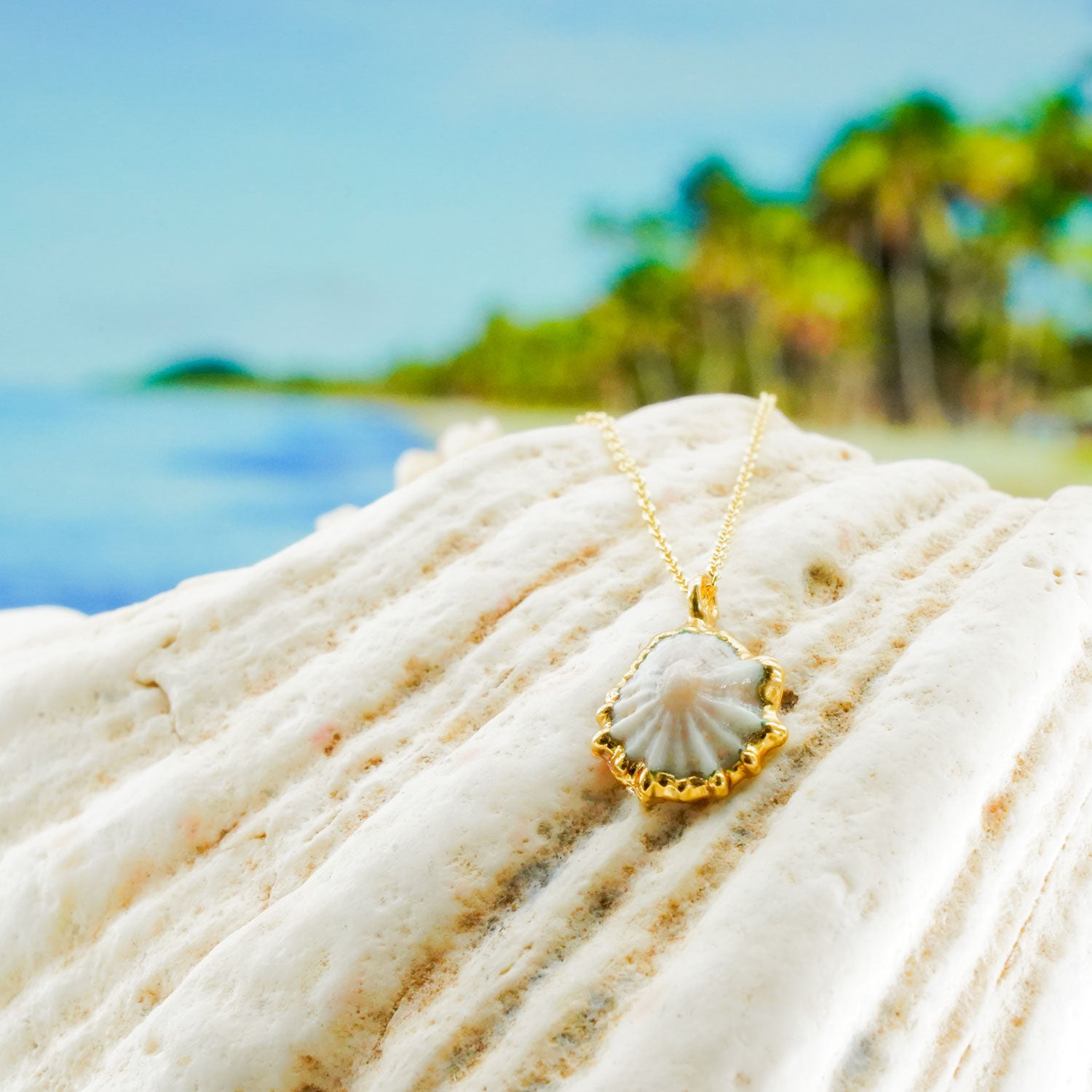 24k Gold-Dipped White ʻOpihi 18" Necklace