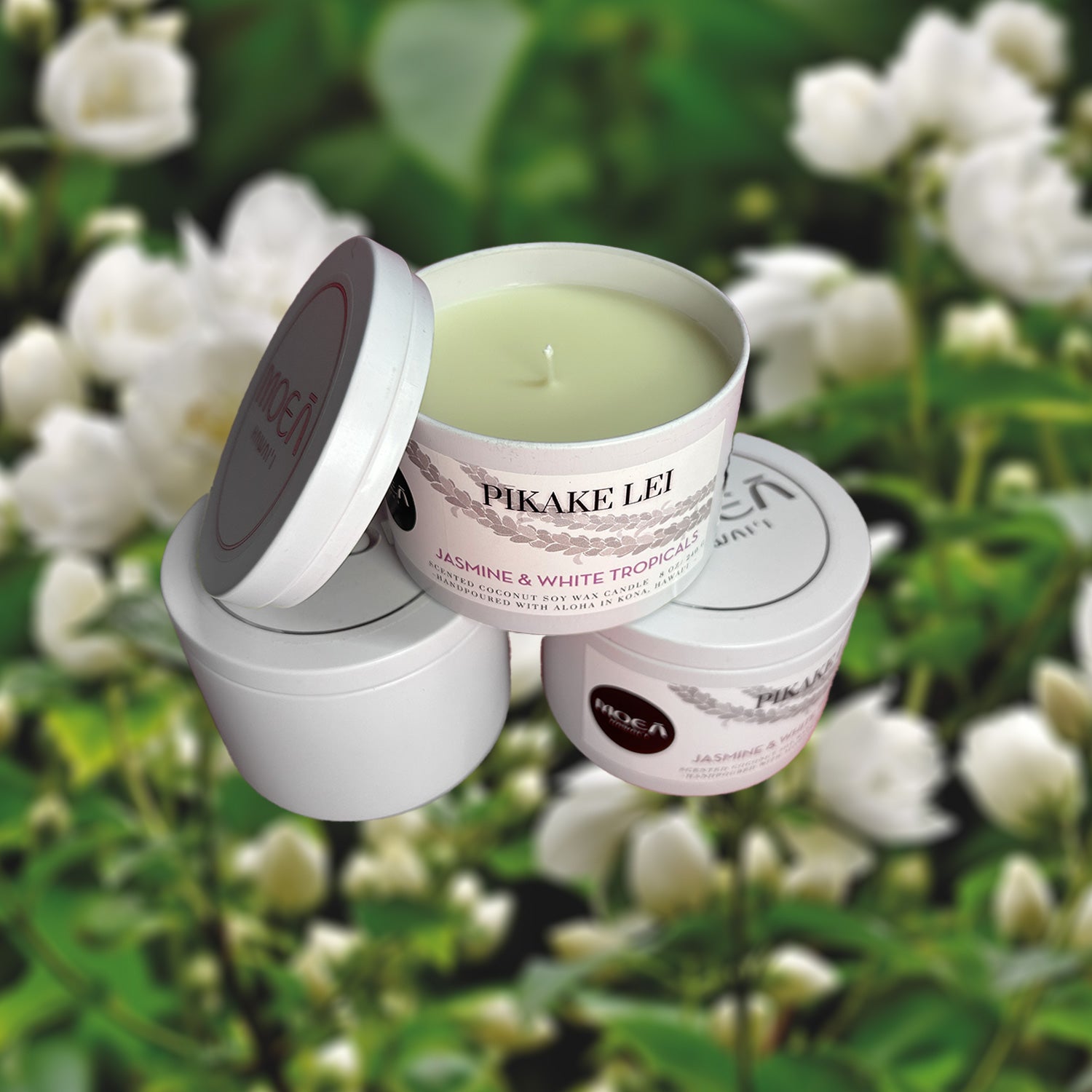 Coconut Soy Wax Candle - Pikake Jasmine