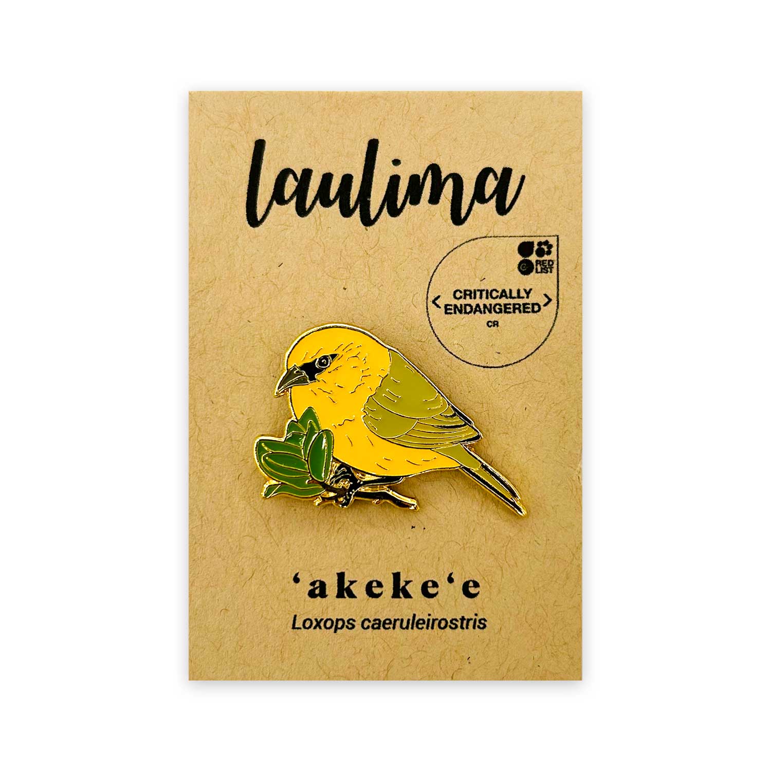 Native Hawaiian Honeycreeper ʻAkekeʻe Gold Enamel Pin