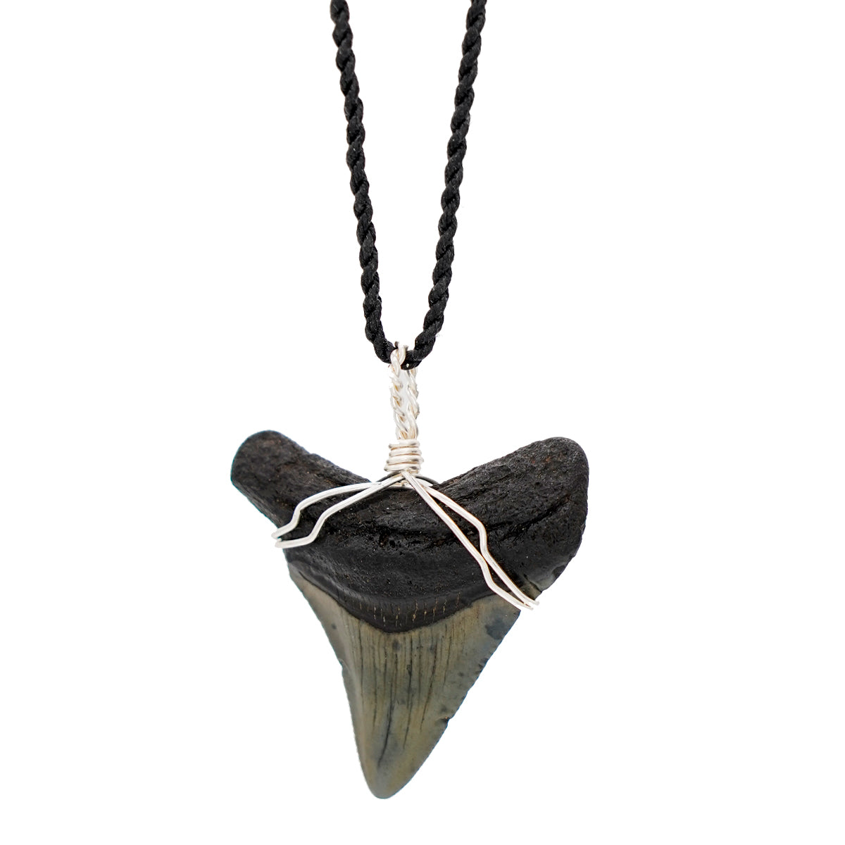 Fossilized Megalodon Shark Tooth on Adjustable Hand Twisted Hemp Cord
