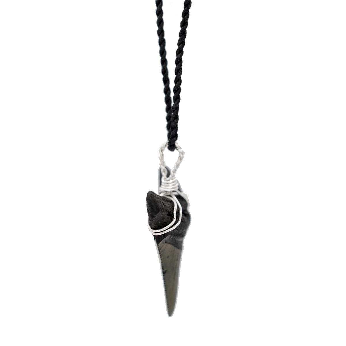 Fossilized Megalodon Shark Tooth on Adjustable Hand Twisted Hemp Cord
