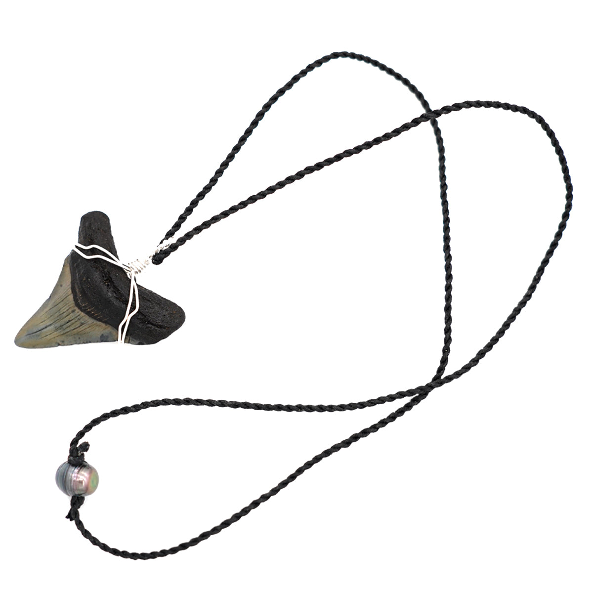 Fossilized Megalodon Shark Tooth on Adjustable Hand Twisted Hemp Cord