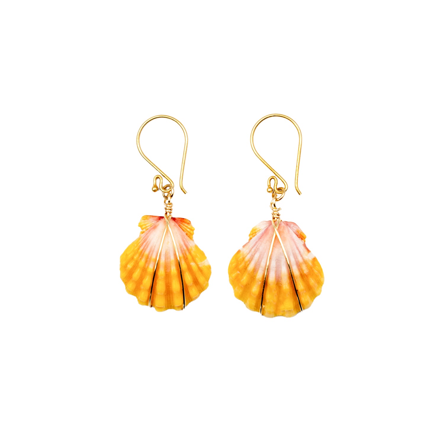 Sea Shell - Fishing Hook Earrings - SK2569E