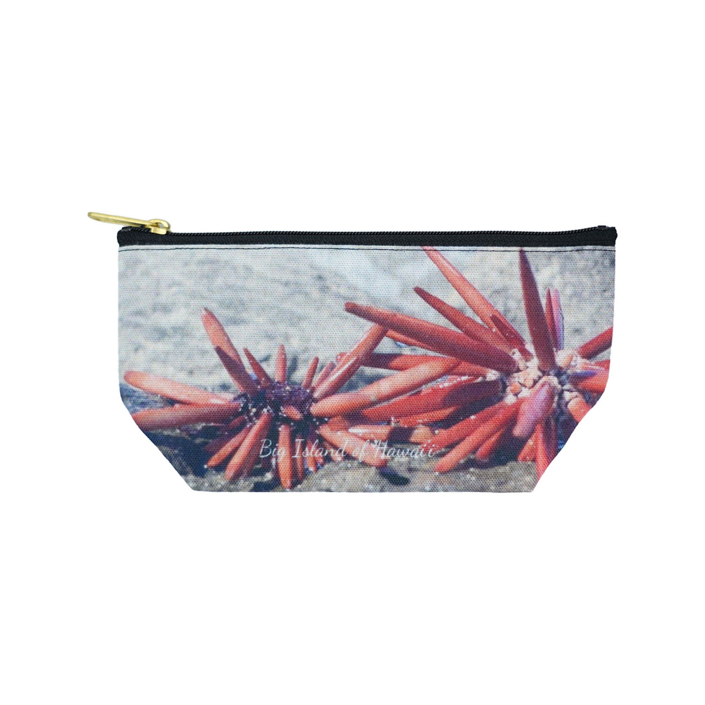 Pencil Wana Sea Urchin Zipper Pouch