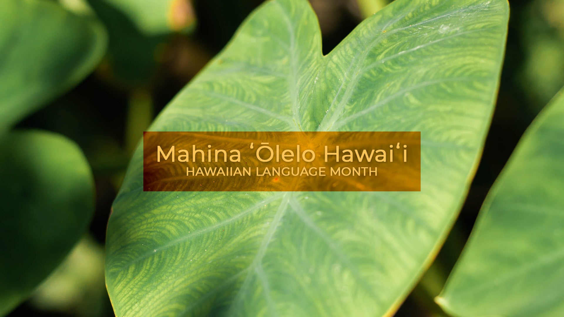 Mahina ʻŌlelo Hawaiʻi - Hawaiian Language Month
