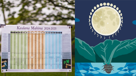 A Celestial Connection: Aligning With The Hawaiian Moon Phases 🌒🌓🌔