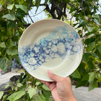 Nature Inspired Aqua Bubble Plate
