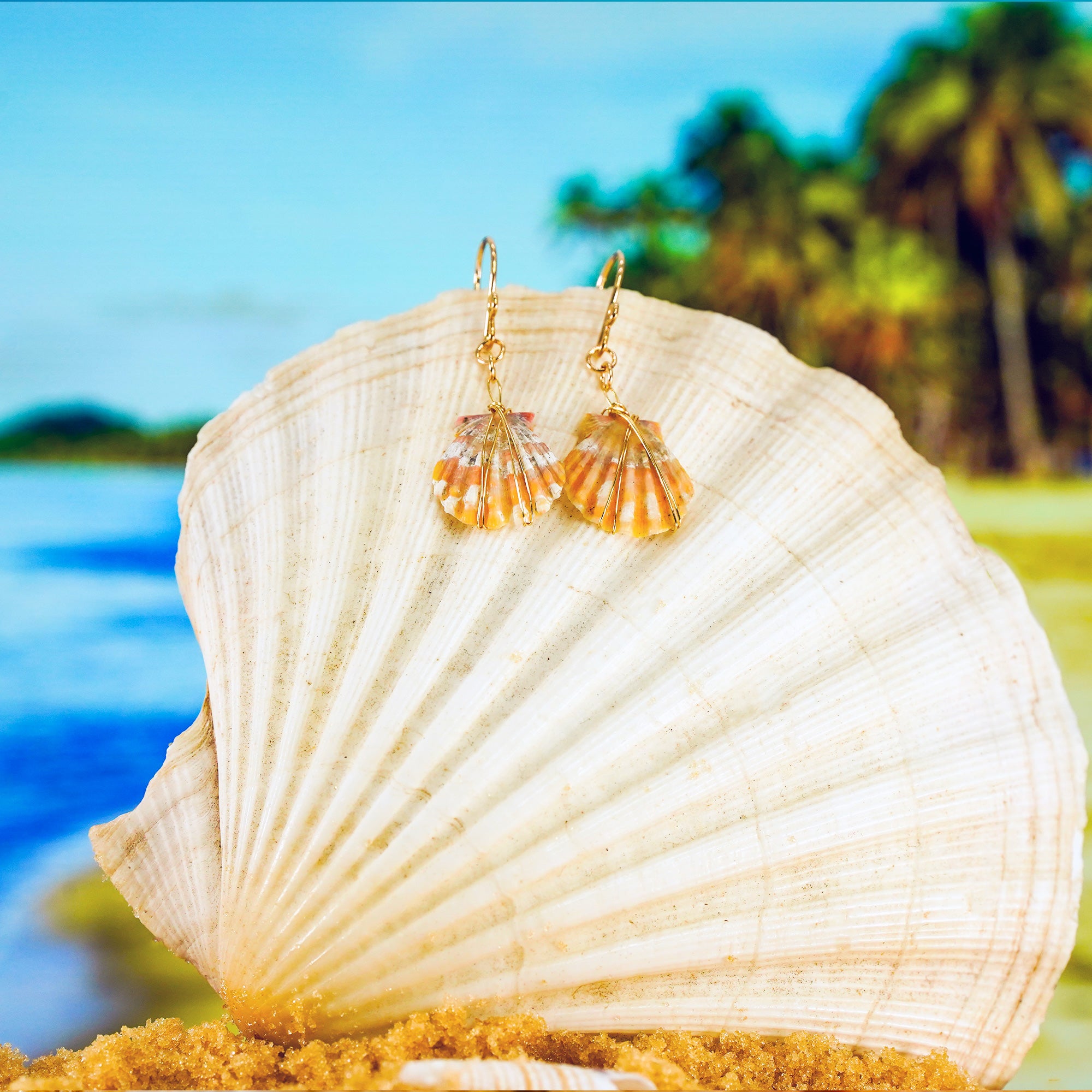 Hawaiian Sunrise Shell 14kt Gold Small Hook Earrings
