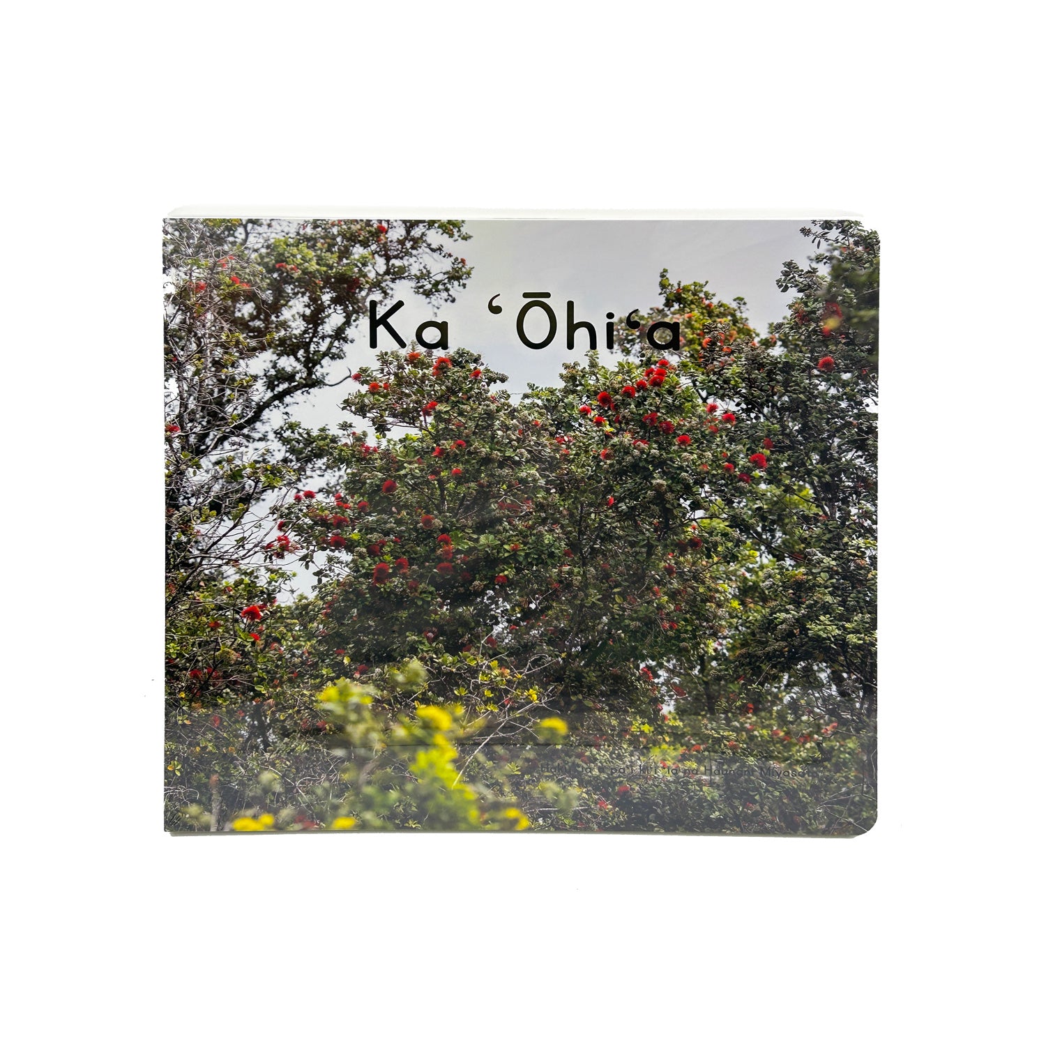 Ka ʻŌhiʻa - Hawaiian Language Board Book