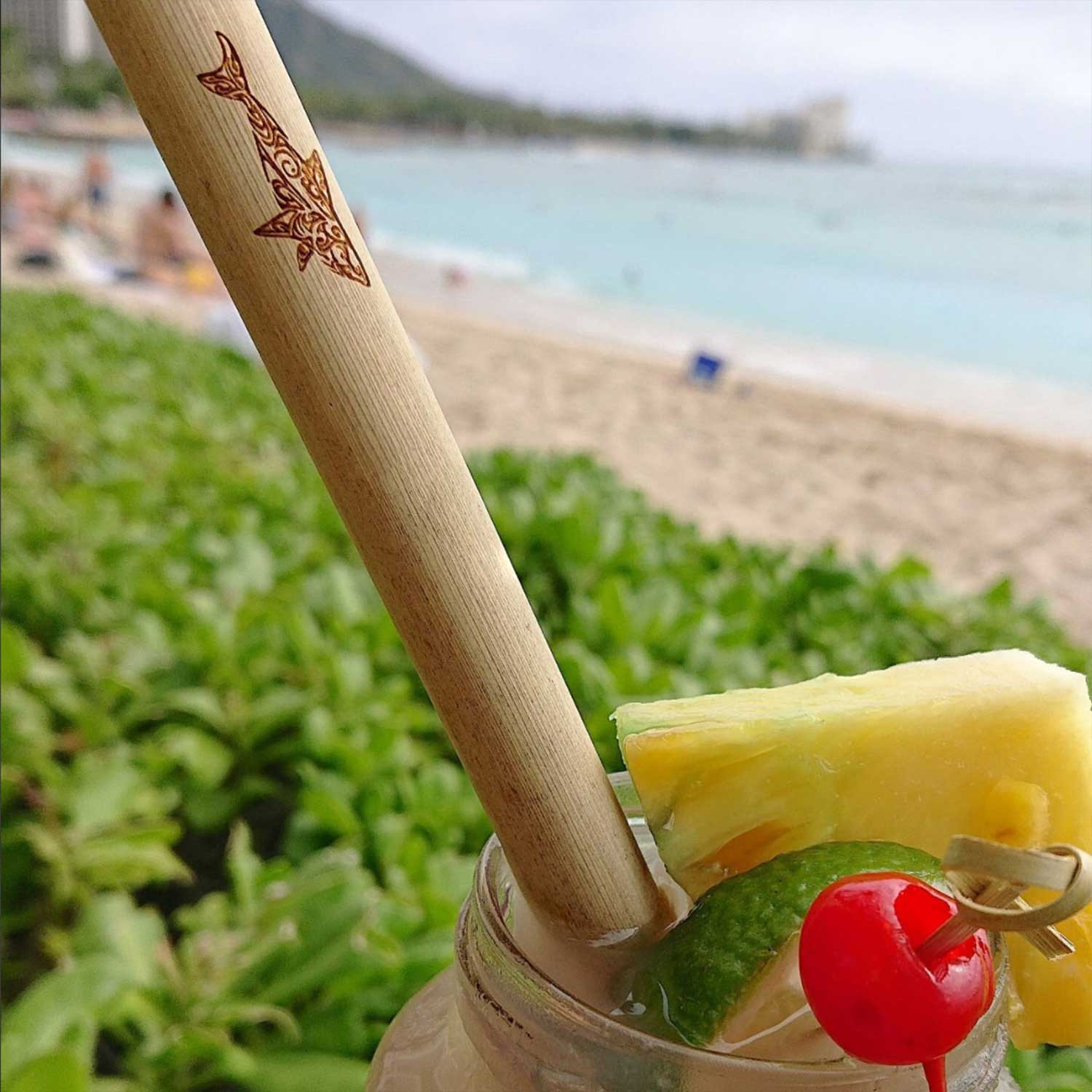 Engraved Bamboo Reusable Straw & Cleaner - Shark