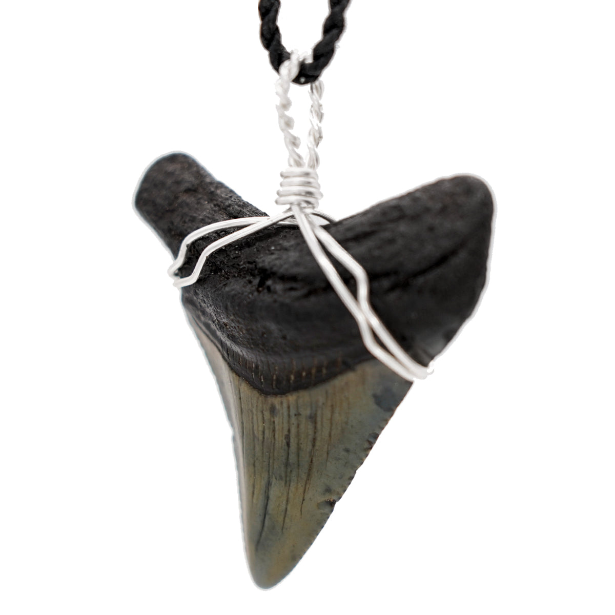 Fossilized Megalodon Shark Tooth on Adjustable Hand Twisted Hemp Cord