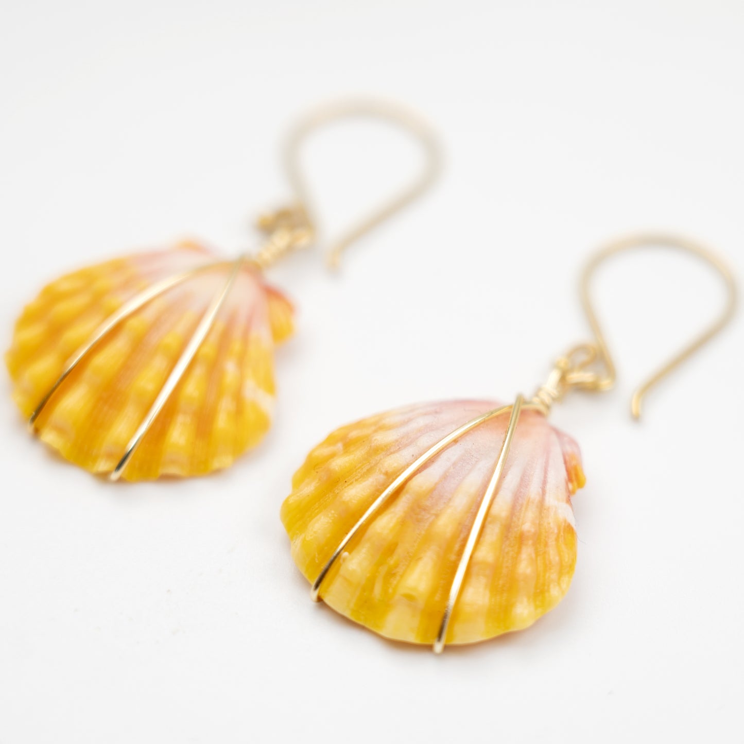 Rare Hawaiian Sunrise Shell Gold Hook Earrings