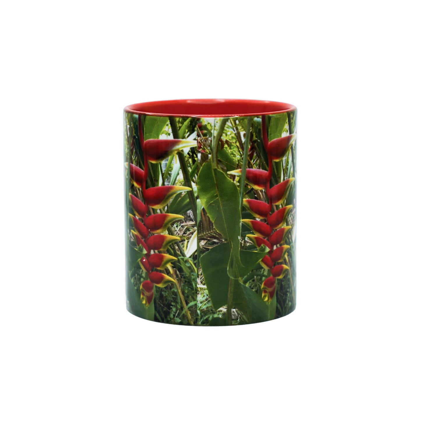 Red Lobster Claw Heliconia 11oz Ceramic Mug