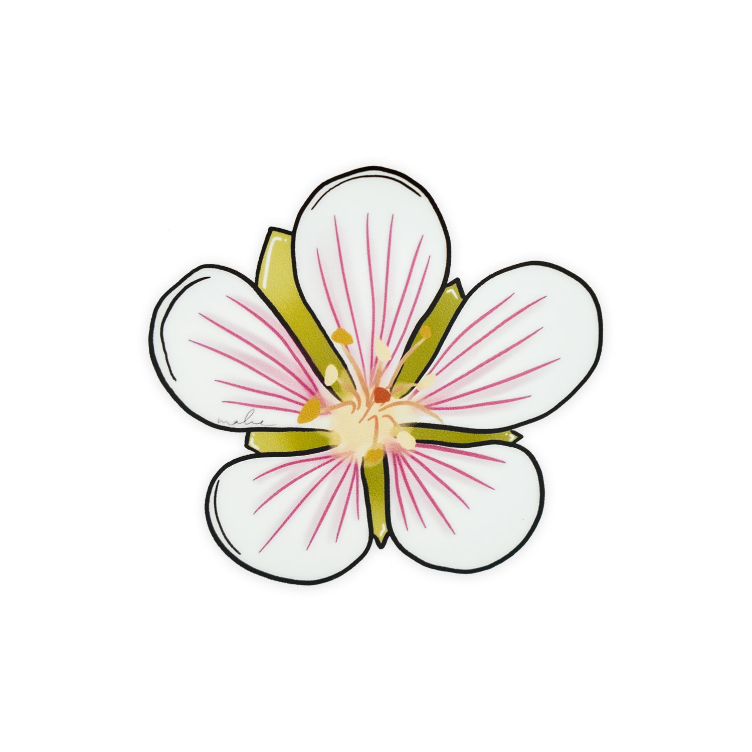 3" Vinyl Sticker Nohoanu - Manyflower Geranium
