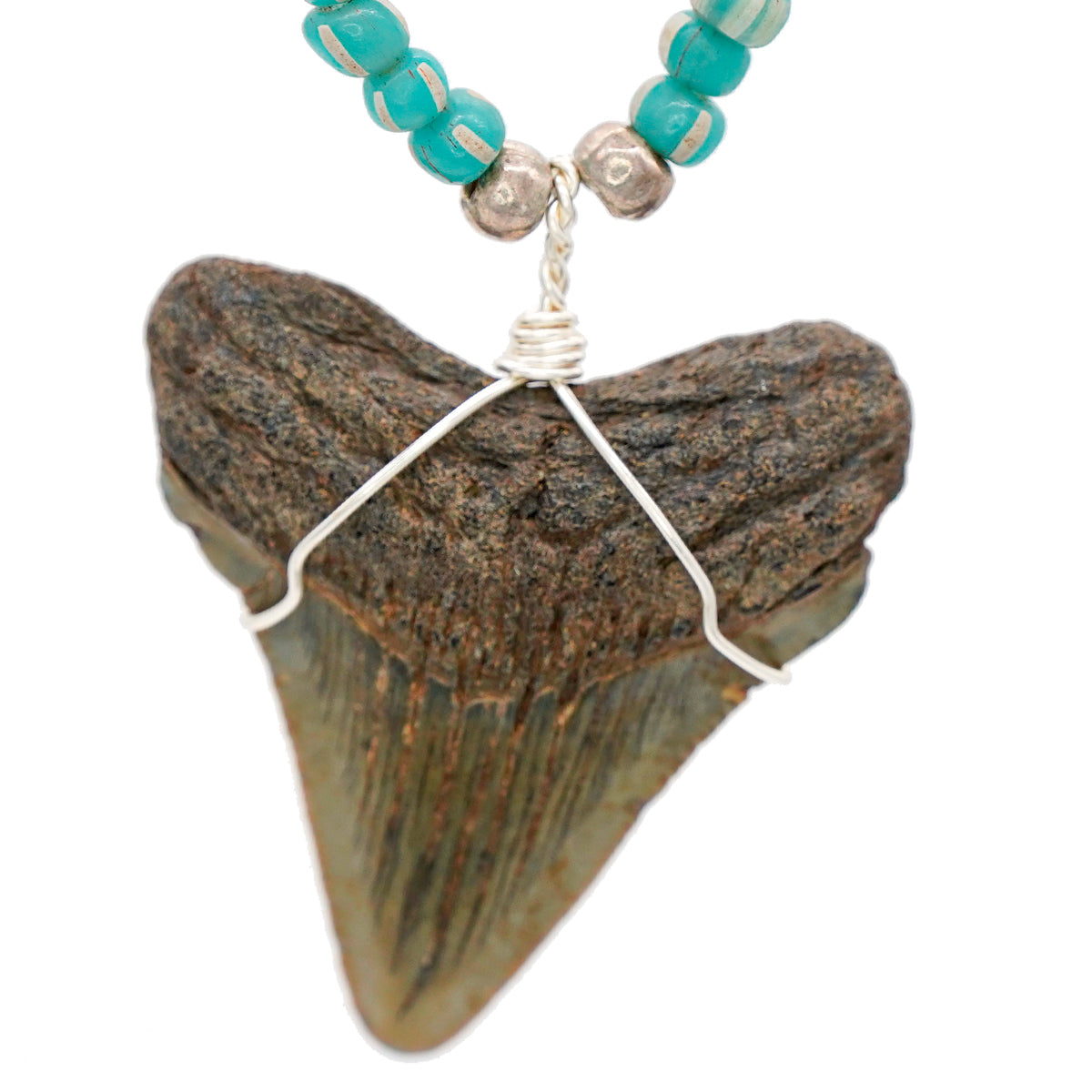 Fossilized Megalodon Tooth on Bone & Indonesian Glass Bead Necklace