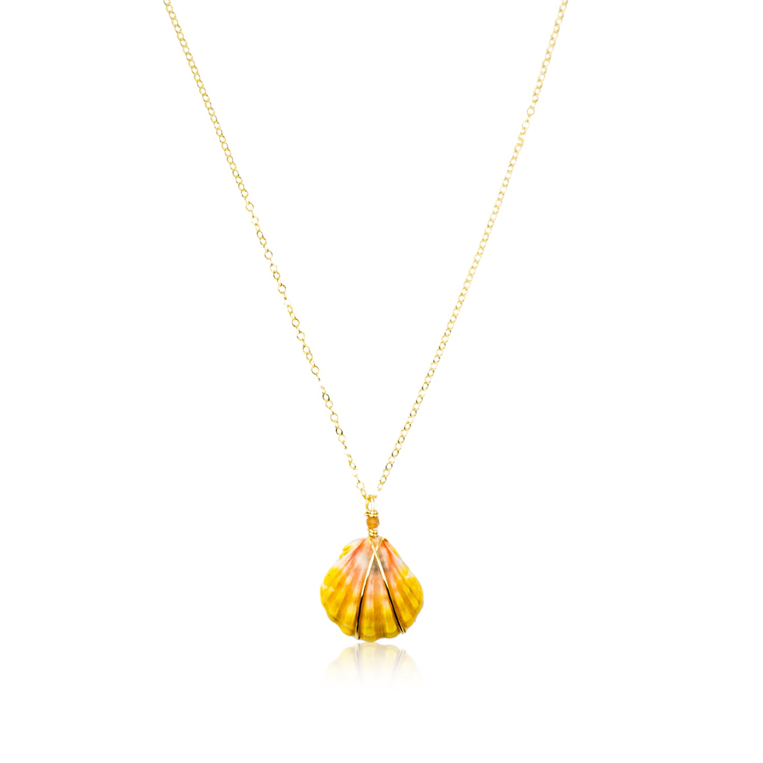 Rare Hawaiian Sunrise Shell 18" Gold Necklace