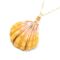 Rare Hawaiian Sunrise Shell 18" Gold Necklace