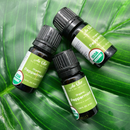 Organic Peppermint Soothing Essential Oil